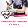 Hundekrankenversicherungen – mit Fabian Bauer Download