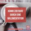 Dein Weg zur Ruhe - deine Waldmeditation Download