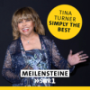 Tina Turner - "Simply The Best" Download