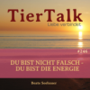 246. Du bist nicht falsch - du bist die Energie Download