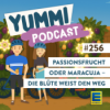 Passionsfrucht oder Maracuja – Die Blüte weist den Weg Download