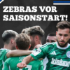 Der MSV vor dem Saisonstart – Wo steht Duisburg wirklich? | "1902" - Folge 210 Download