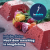 Indubio Extra - Nach dem Anschlag in Magdeburg Download