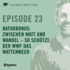 Naturbonus: Zwischen Watt und Wandel – so schützt der WWF das Wattenmeer Download