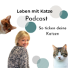 81 - Silvester und Tierarzt-Besuche - wie du mit akuten Stress-Situationen entspannter umgehst Download