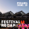 Charli xcx, Chappell Roan, Sabrina Carpenter, Fontaines D.C. & Turnstile auf dem Primavera Sound // #154 Festival Recap Download