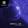 Immortal Sun - In The Tree - Part Of The Tree [DigitalDiamonds051] | WAV download Download