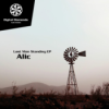 Alic - The Acid Flow (Triptacular Edit) [DigitalDiamonds044] | WAV download Download