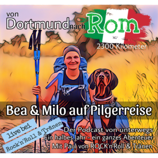 Episode 40 - Folge 2: Was für ein Hundeleben!