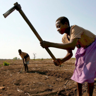 Malawi zwischen Dürre und Flut