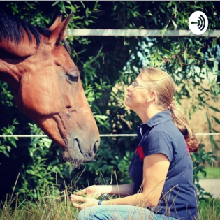 Folge 155 Und es geht weiter