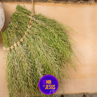 Der Gewürzeanhänger (07-11-2024)