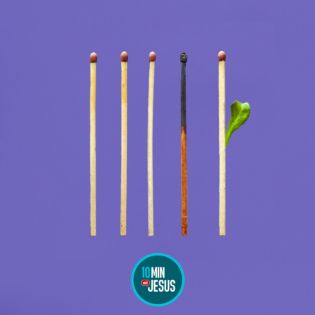 Öffne und verwandle mich! (20-01-2025)