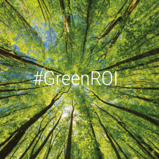 The Green ROI – Wie Unternehmen mit Klimaschutz Gewinn machen