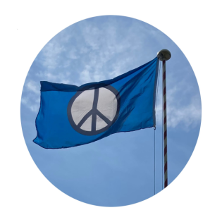 \ Dr. Aldo Legnaro /