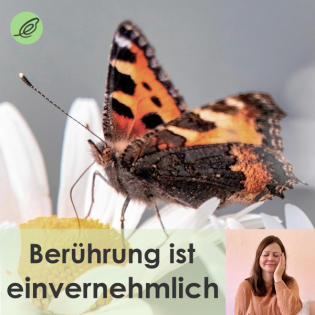 (09) Angeline Heilfort: Das Konsensrad