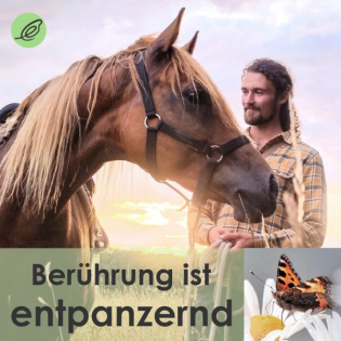 Hörprobe - (16) Lukas Bauer: Entpanzerung - Die Befreiung vom Trauma