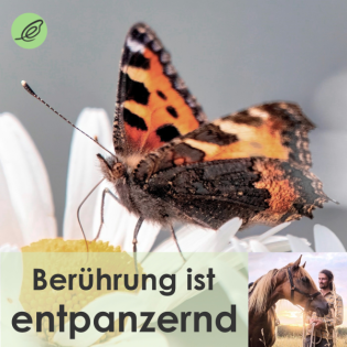 (16) Lukas Bauer: Entpanzerung - Die Befreiung vom Trauma