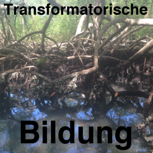 Transformatorische Bildung – Folge 154 „Transformation und die Trias von Emotionen, Praxis und Theorie“ - vegetarische Bildung