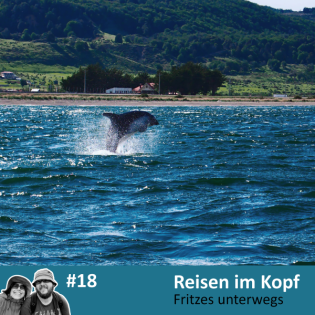 Patagonische Delphine