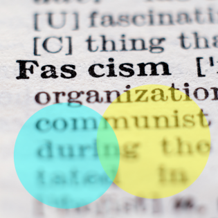 Müssen wir es Faschismus nennen?