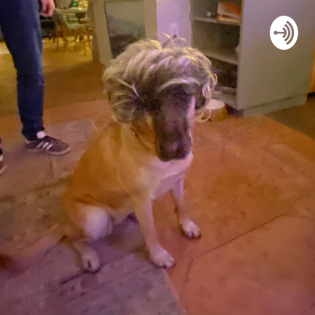 Ein kleiner gute Nacht Gruß:)