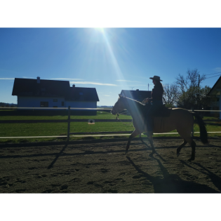 Die altkalifornische Reitweise