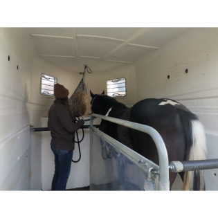 Folge 14: Verladetraining