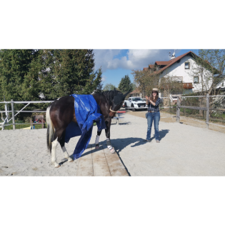 Folge 10: Gelassenheitstraining