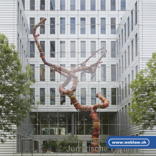 familienrecht.teilrevision.zivilprozessordnung.mp4