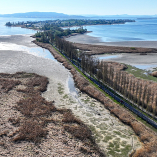 Unter "Ferner liefen?" Was steht im Koalitionsvertrag zum Klimaschutz?