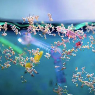 Die wachsende Gefahr - was tun gegen Mikroplasitk