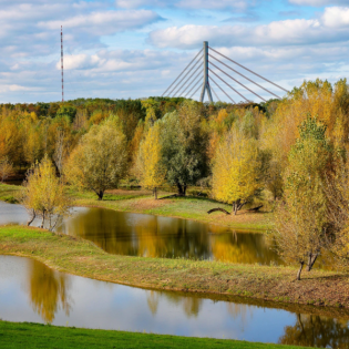 Mal zu viel, mal zu wenig - wie managen wir Wasser in den Städten