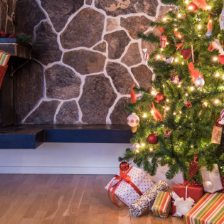 Warum wir nicht auf Weihnachtsbäume verzichten müssen