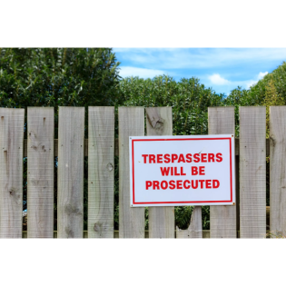 Hört die KI gar nicht mehr auf, sich uns aufzudrängen?