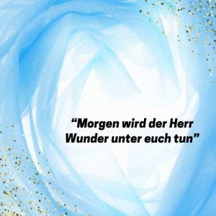 Von der Bundeslade und dem Warten auf das Wunder