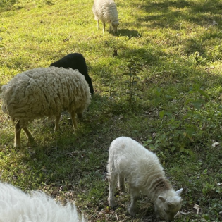 Wer bin ich, wenn ich an Gott glaube?