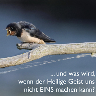 Eins werden 2 - Wenn der Heilige Geist nicht in die Einheit führt?