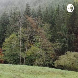 Märchen von einem, der auszog, das Fürchten zu lernen - Märchen der Gebrüder Grimm