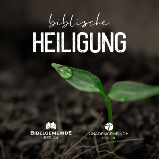 02 - Gesetz und Heiligung - Biblische Heiligung