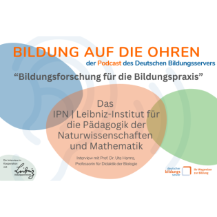 "Die Bildungsforschung kommt gegen die Praxis nicht an"