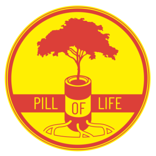 Stressfrei durch die Weihnachtszeit - Mit Achtsamkeit entspannen