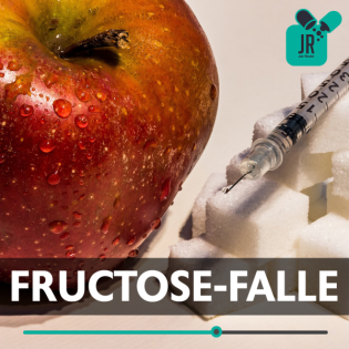 FRUCTOSE-FALLE