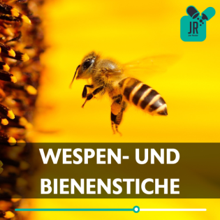 WESPEN- und BIENENSTICHE