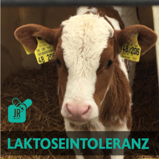LAKTOSEINTOLERANZ