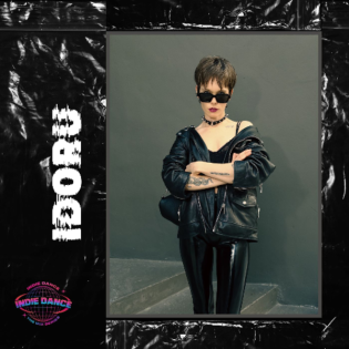 Indie Dance The Mix Series IDORU