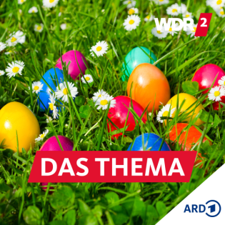 Gekocht, gerührt, pochiert - Multitalent Ei