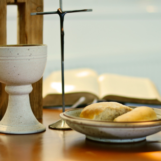 Fast Food oder Vollwertkost?