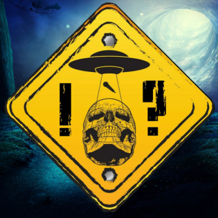 Silvia Fink Eisinger - Das Schöpfungsprinzip Spinnennetz