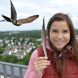 Zu Besuch bei Falken, Wildkaninchen und Feldhamstern in der Stadt